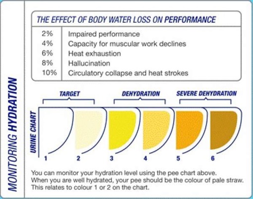 To ensure you don't get hyponatremia, monitor the color of your urine