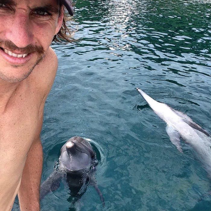 Mitch Robins' tapering sometimes include some  aquatic mammals