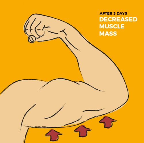 No physical activity will decrease your muscle mass