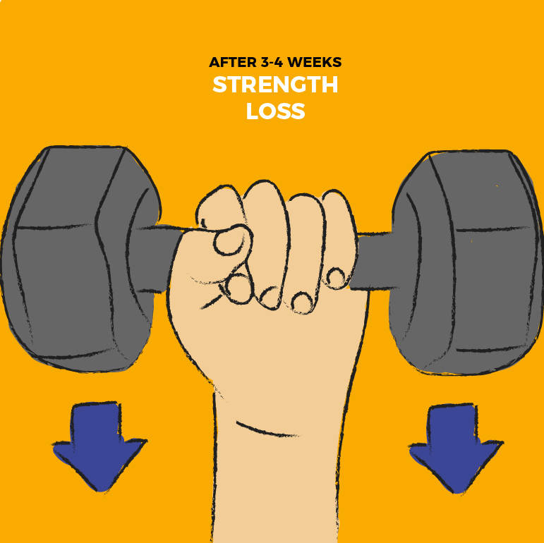 Losing muscle doesn’t necessarily mean losing strength