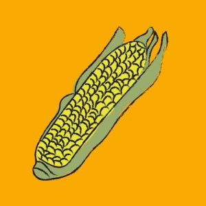 Corn