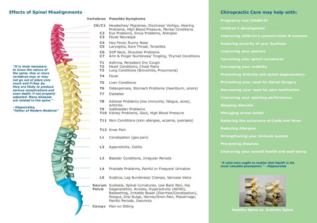Optimal spinal health also means better athletic performance and faster recovery from injuries