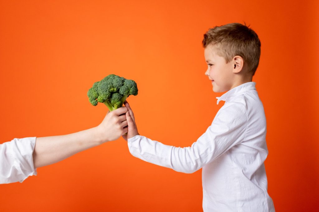 What exactly constitutes a healthy children's diet?