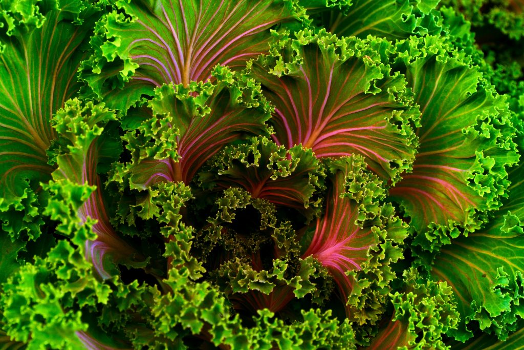 Sick? Get your folic acid requirements from leafy vegetables