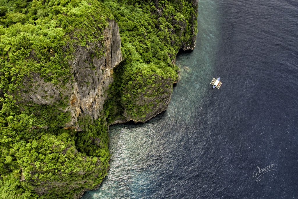 Photography became Wowie Wong's language in describing the underwater world