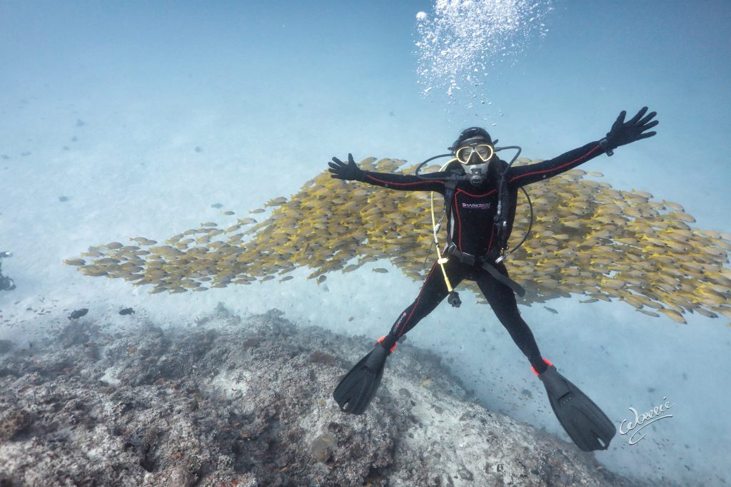 Wowie Wong and his friends go as far as inform people about the state of the underwater world