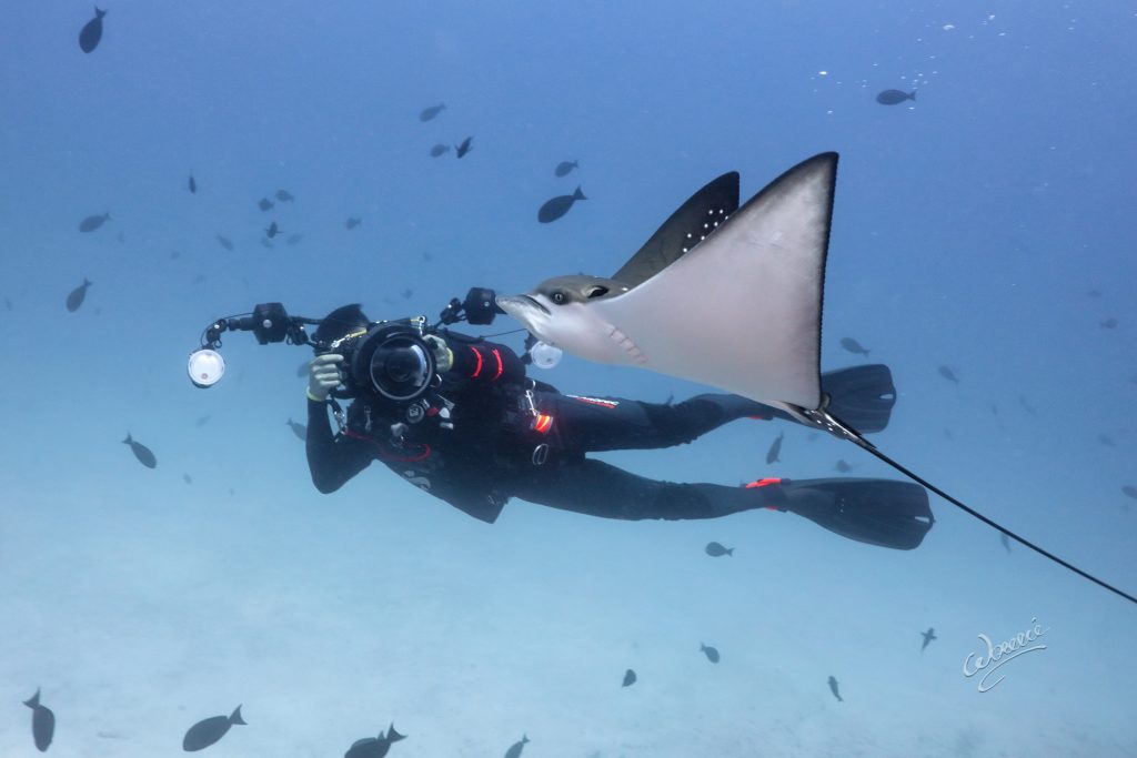 Jan Acosta (one of the co-founders of Studio H20) with eagle ray