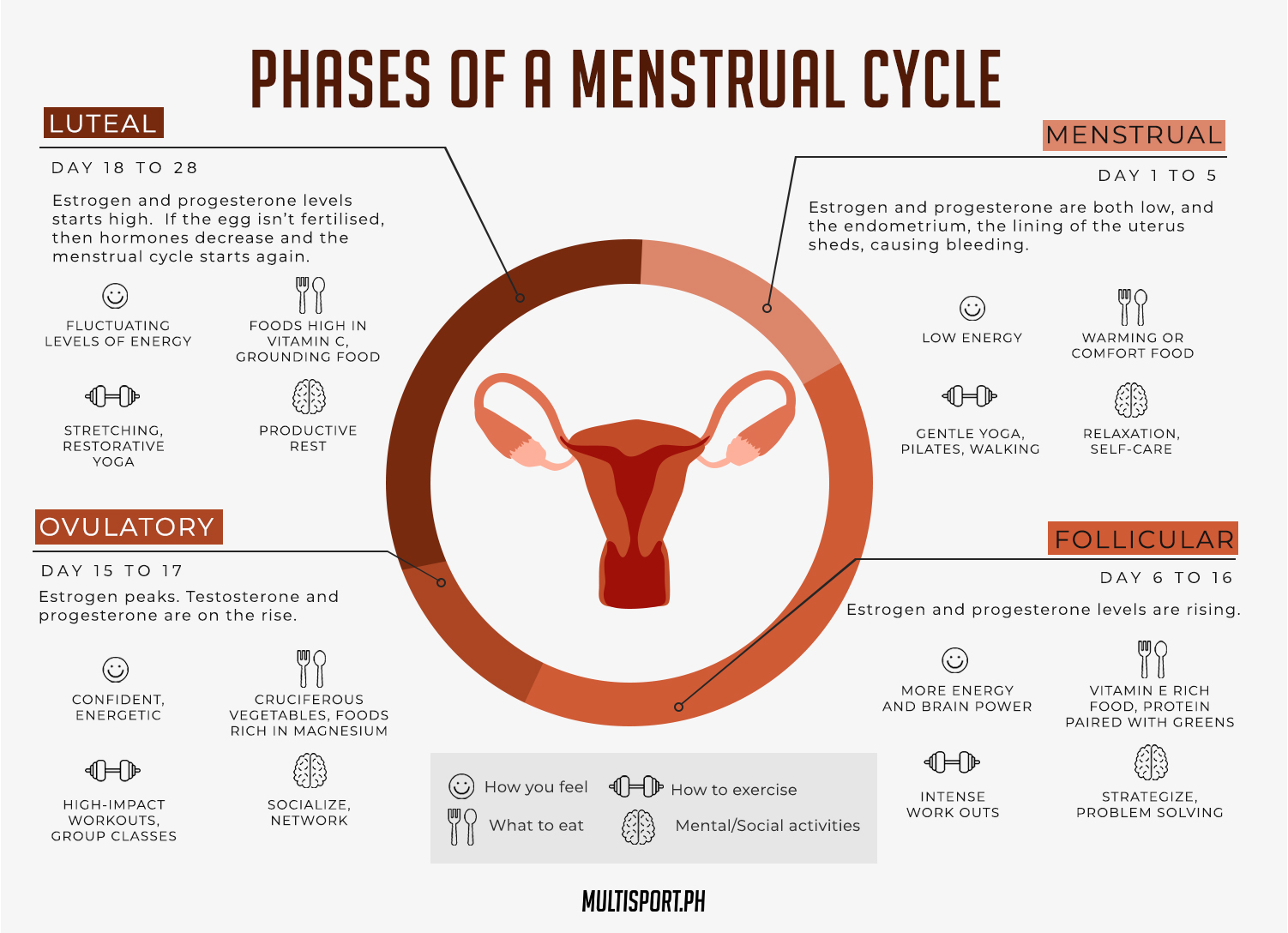 Cycle Syncing: What to Eat and Drink in Each Phase of Your Cycle