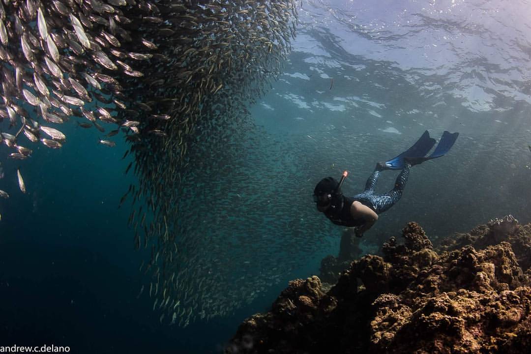 Mabel Demavivas admits that while freediving complements her triathlon, open-water swimming is a different league in and of itself