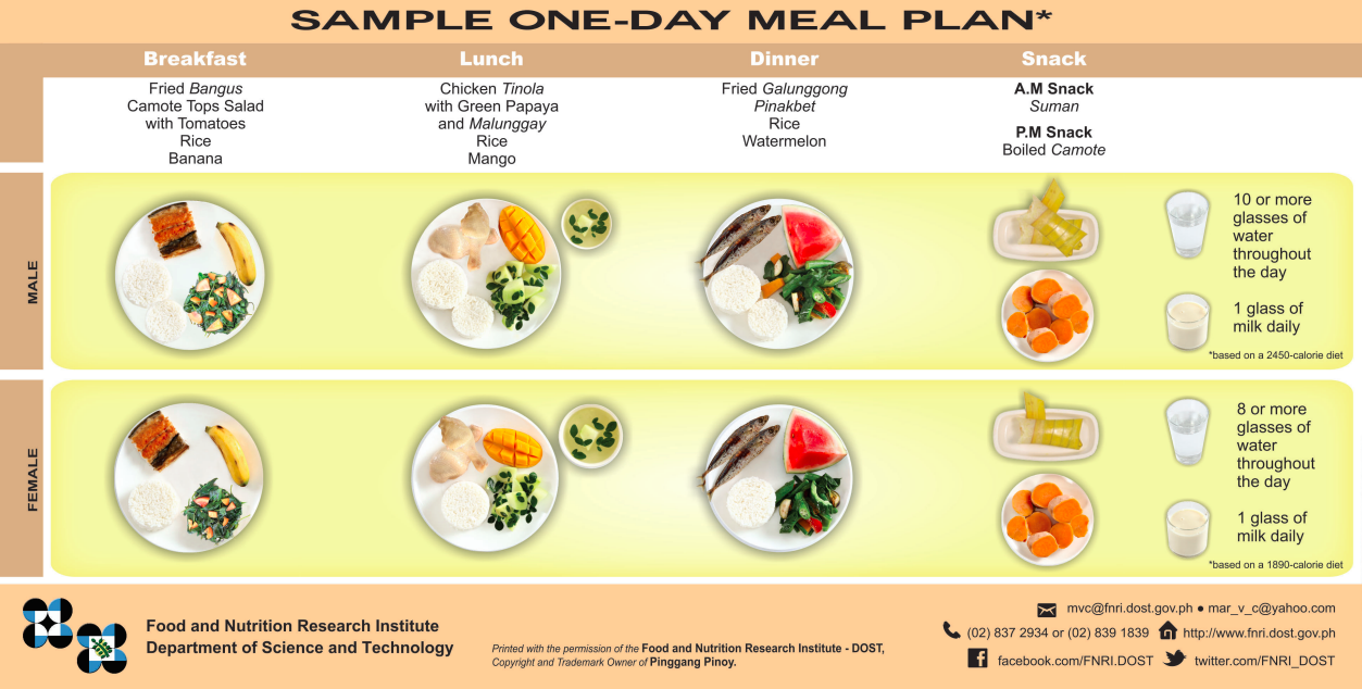 Look This Is The Recommended Food Plate For Filipinos Multisport Ph