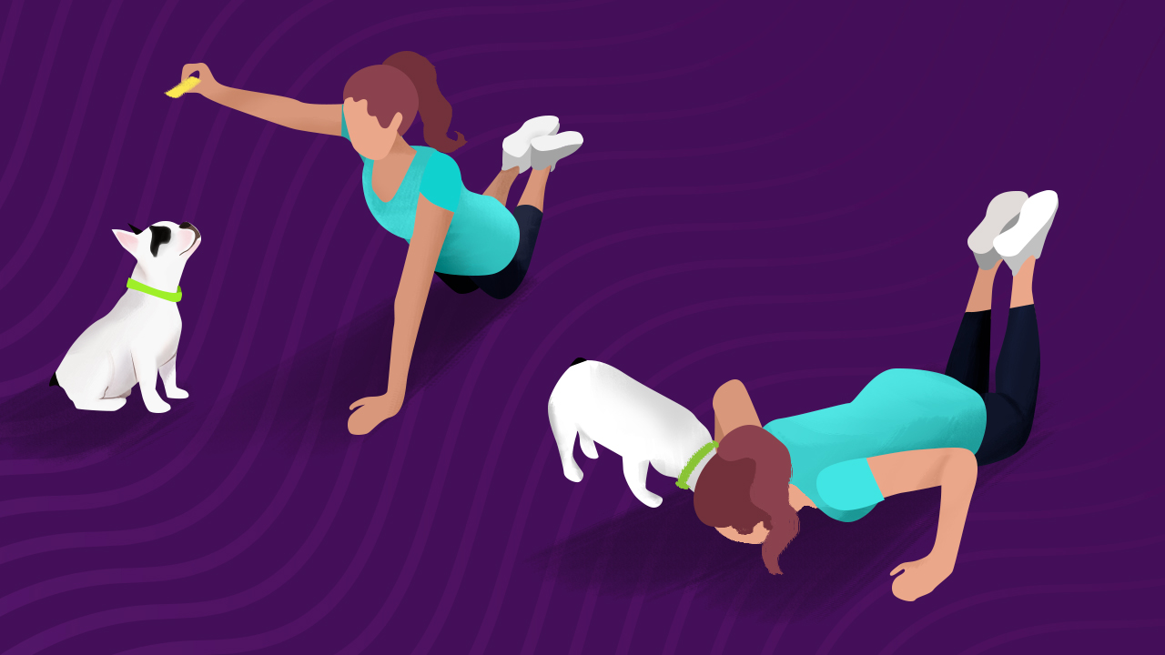 Dog workout 2: Pup push-ups