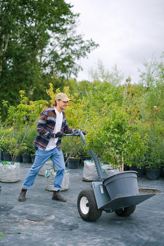 This one might be a surprise but gardening is in fact a whole-body workout in itself that burns as much as 400 calories per hour