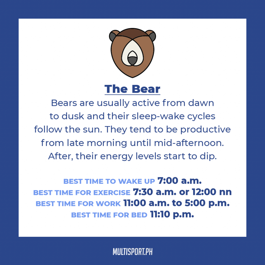 Is your sleep chronotype a bear?