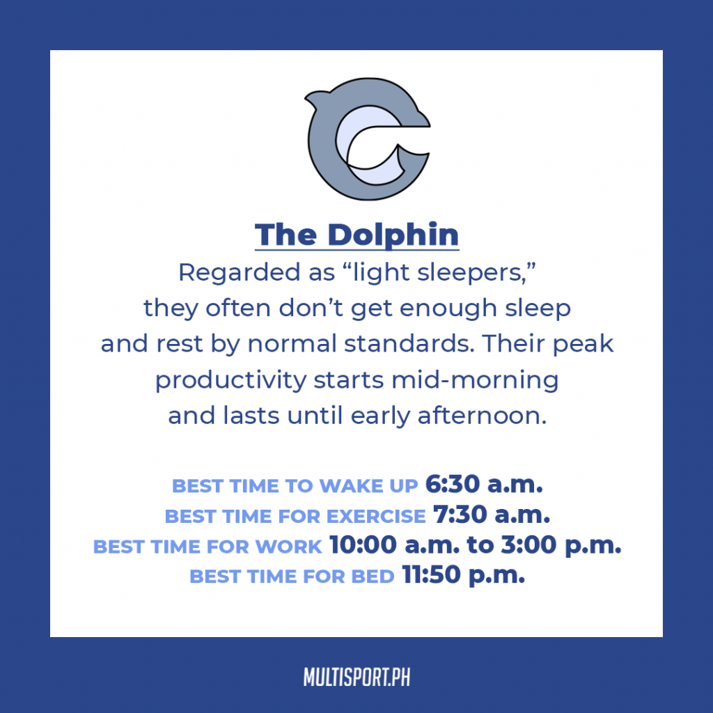 Is your sleep chronotype a dolphin?