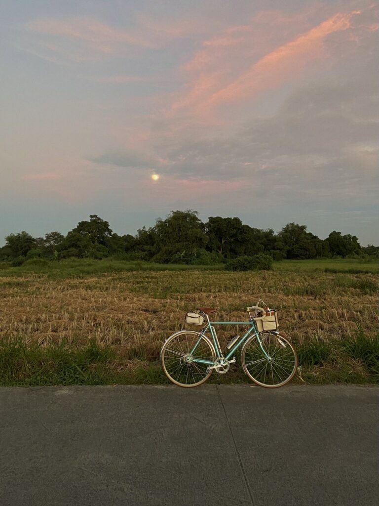 This particular moment looked like a scene from a Ghibli film