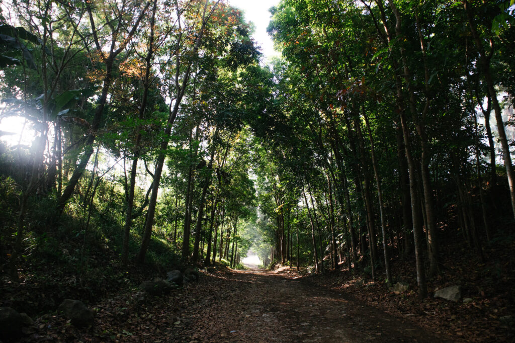 The path to Ara Custodio's secret hideout located at Brgy. Rawang in Tanay