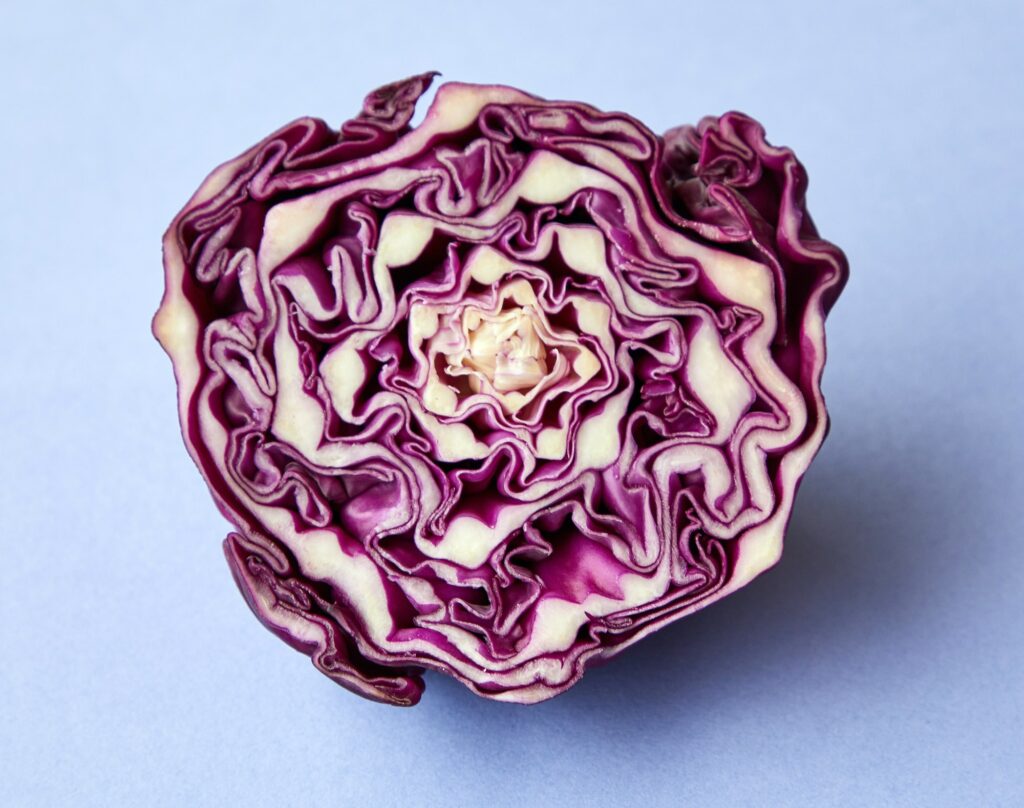 The climatarian diet focuses on local and seasonal fruits and vegetables